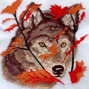 May include: A close-up of a wolf's face peering through a thicket of red and orange leaves. The wolf has brown fur and piercing yellow eyes.