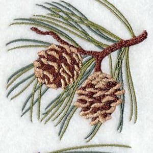 May include: A close-up of a pine branch with two brown pine cones. The needles are green and the branch is brown.