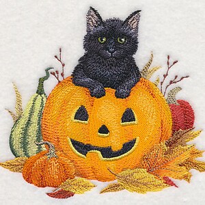 Too Cute to Spook Black Kitty and Jack-o-Lantern Embroidered Waffle Weave Hand/Dish Towel image 1