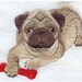 see more listings in the Animal Embroidery  section