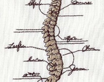 Anatomical Spine Embroidered Waffle Weave Hand/Dish Towel