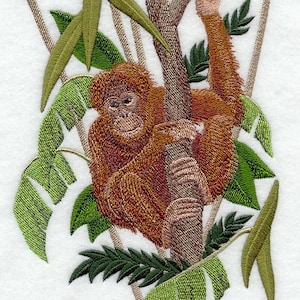Può includere: Immagine ricamata di un orangutan aggrappato a un ramo di un albero, circondato da foglie verdi e rami marroni. L'orangutan ha una pelliccia marrone e un'espressione amichevole. Il disegno è su sfondo bianco.