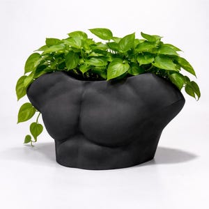 May include: A black, sculpted planter in the shape of a torso, filled with vibrant green leafy plants. The planter has defined chest and shoulder details. The leaves cascade over the sides, creating a striking contrast.