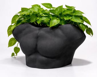 Maceta moderna con forma de busto, maceta con forma de torso masculino, jarrón con escultura estética para plantas de interior, decoración única para el hogar, ideal para escritorio, estante o sala de estar.