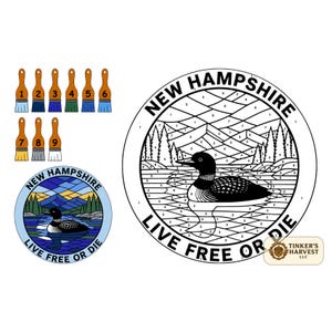 New Hampshire Loon | Nature | Color By Numbers Plate | Paint by Number Kit