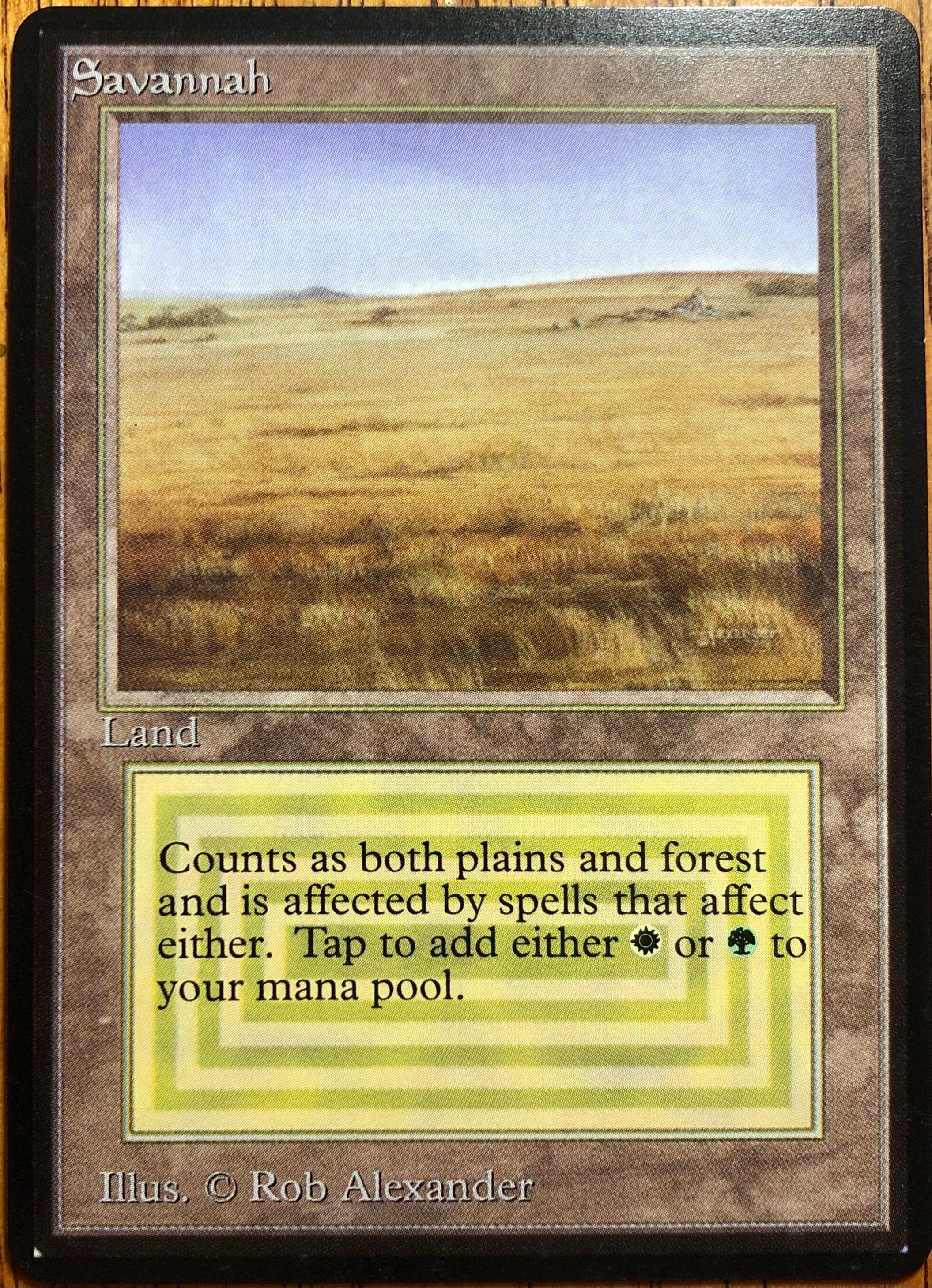Savannah Mtg - Etsy