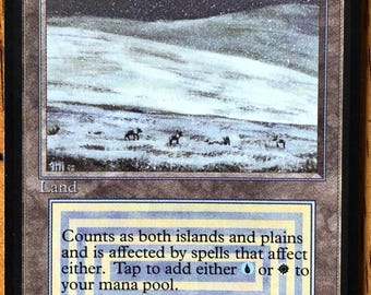 Mtg - Tundra - Beta - Reserved - Vintage - Old School - Legacy - WATCH ITEM VIDEO!!! O_O