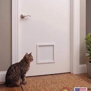Può includere: Un gatto tigrato è seduto vicino a una porta bianca con una gattaiola installata. Un tappeto intrecciato marrone è davanti alla porta. La porta ha una maniglia argentata. Una piccola pianta in un vaso grigio è a destra.