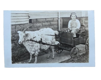 Antique RPPC Real Photo Postcard Cute Little Boy in Goat Cart circa Early 1900's