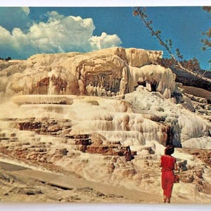 Carte postale vintage Terrasse Minerva, Mammoth Hot Springs, parc national de Yellowstone