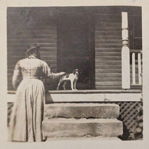 Schöne Frau Gesicht Weg von der Kamera Petting Spaniel Hund auf der Veranda Antike RPPC Echtfoto-Postkarte D6