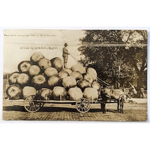 以下が含まれることがあります： 大きなリンゴでいっぱいの馬車を描いた、セピア色のヴィンテージポストカード。男性がリンゴの山の上に立ち、手綱を持っています。テキストには「a load of good color, Apples」と書かれています。