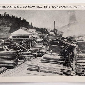Die D.M.L. & L. Co. Saw Mill c1910 Sonoma County Duncans Mills, California Vintage Postkarte H8
