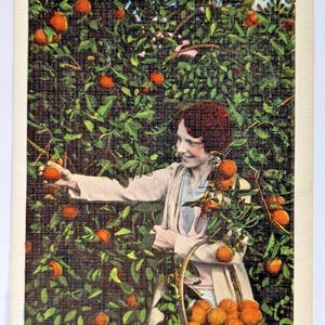 A Peach Among the Oranges in Sunny Florida Vintage Linen Postcard Pretty Lady G3