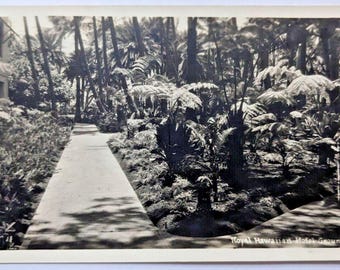 Royal Hawaiian Hotel Grounds Waikiki Hawaii Vintage RPPC Real Photo Postcard AZO Era F9