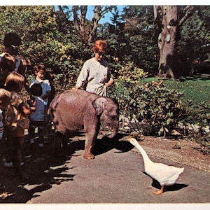 Carte postale vintage Woodland Park Seattle WA