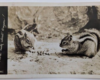 We're Nuts About Oregon Cute Chipmunks RPPC Real Photo Postcard Posted 1946 Newport OR