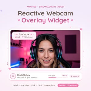May include: An animated StreamElements reactive webcam overlay widget featuring a light pink theme with heart and star accents. The interface includes a live status box, a user profile area with a sub goal progress bar, and text labels.