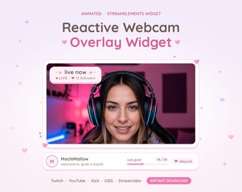 Reactive Webcam Overlay, Cute Animated Webcam Border Widget