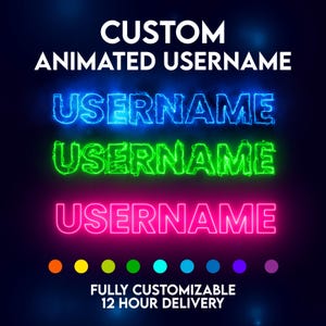 May include: Custom animated username graphic with the word "USERNAME" in blue, green, and pink neon. The text "CUSTOM ANIMATED USERNAME" and "FULLY CUSTOMIZABLE 12 HOUR DELIVERY" are also displayed.