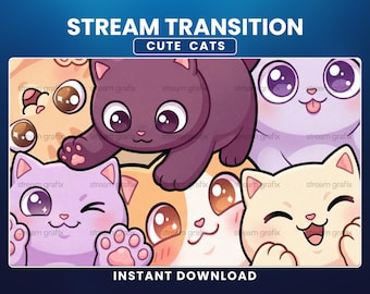 Cute Cats Stinger Transition, Cute Stream Transition for Streamers / Vtubers