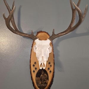 euro mount Christmas gift for that hard person to shop for Personalized