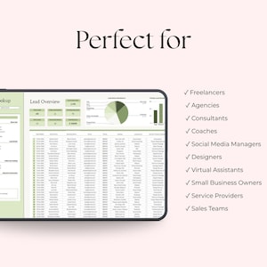 Op de afbeelding: Een digitale tablet toont een lead overzicht spreadsheet met grafieken en gegevens. De tekst "Perfect for" staat bovenaan, met een lijst van beroepen, waaronder freelancers en ontwerpers. De achtergrond is lichtroze.
