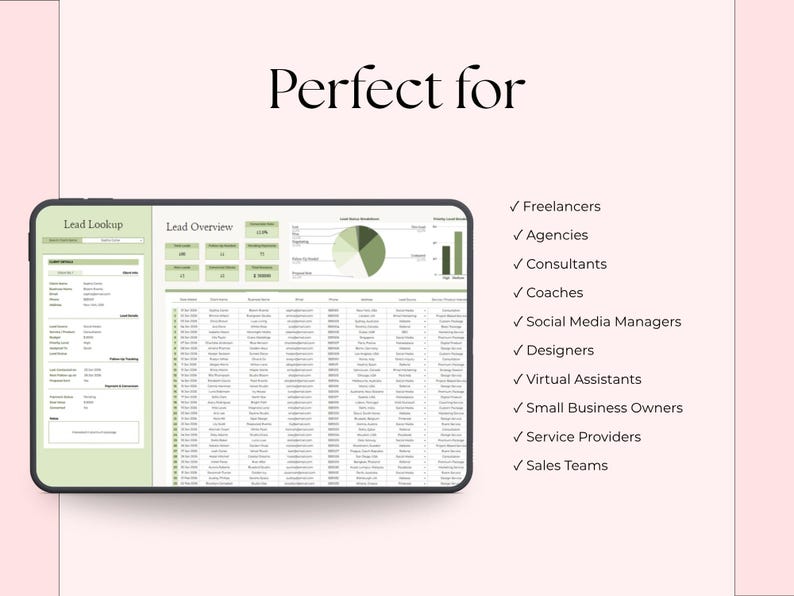 Op de afbeelding: Een digitale tablet toont een lead overzicht spreadsheet met grafieken en gegevens. De tekst "Perfect for" staat bovenaan, met een lijst van beroepen, waaronder freelancers en ontwerpers. De achtergrond is lichtroze.