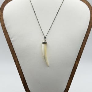 Könnte beinhalten: Halskette mit silberner Kette und einem cremefarbenen, zahnförmigen Anhänger. Der Anhänger ist mit einem silbernen Verschluss an der Kette befestigt. Die Halskette wird auf einer weißen Oberfläche präsentiert.