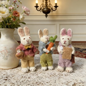 Può includere: Tre figurine di coniglietti fatti a mano in feltro. Uno indossa una giacca rossa e pantaloni beige, con un cestino. Un altro indossa un maglione blu e pantaloni verdi, con una carota. Il terzo indossa una salopette rosa e tiene un blocco note marrone.