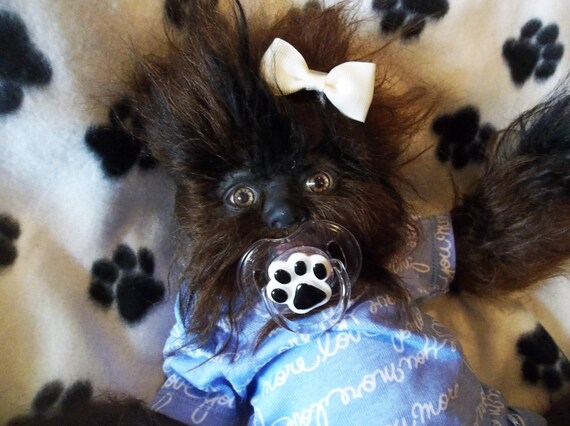 perro reborn