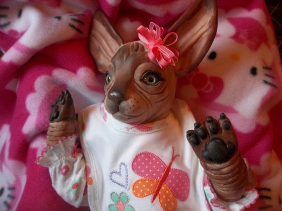 reborn sphynx cat