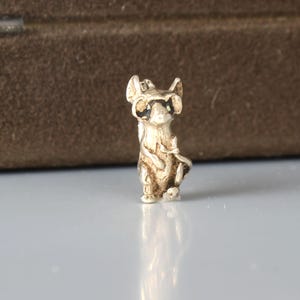 May include: A small, three-dimensional silver-toned charm shaped like a standing raccoon. The figure features detailed facial markings, pointed ears, and a long tail curled to the side. The metallic surface has a polished finish with dark accents.