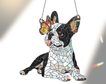Boston Terrier et attrape-soleil papillon : hologramme suspendu à une fenêtre