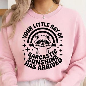 May include: A light pink sweatshirt with a graphic of a raccoon inside a rainbow, with the text "YOUR LITTLE RAY OF SARCASTIC SUNSHINE HAS ARRIVED" in black. The raccoon has its arms open and is surrounded by black stars.