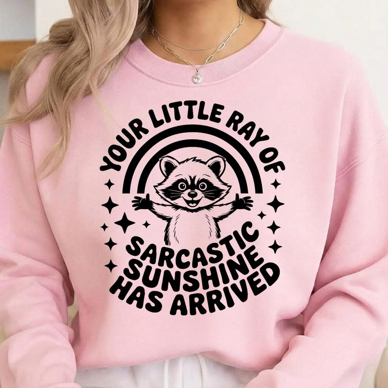 May include: A light pink sweatshirt with a graphic of a raccoon inside a rainbow, with the text "YOUR LITTLE RAY OF SARCASTIC SUNSHINE HAS ARRIVED" in black. The raccoon has its arms open and is surrounded by black stars.