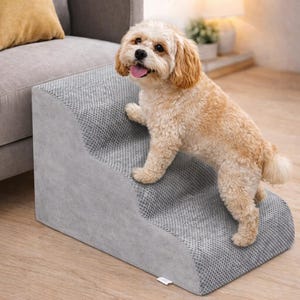 Puede incluir: Una escalera gris para mascotas con dos escalones. Los escalones tienen una superficie texturizada y un borde liso gris. Un perro pequeño y marrón está de pie en los escalones. Los escalones están colocados junto a un sofá gris.