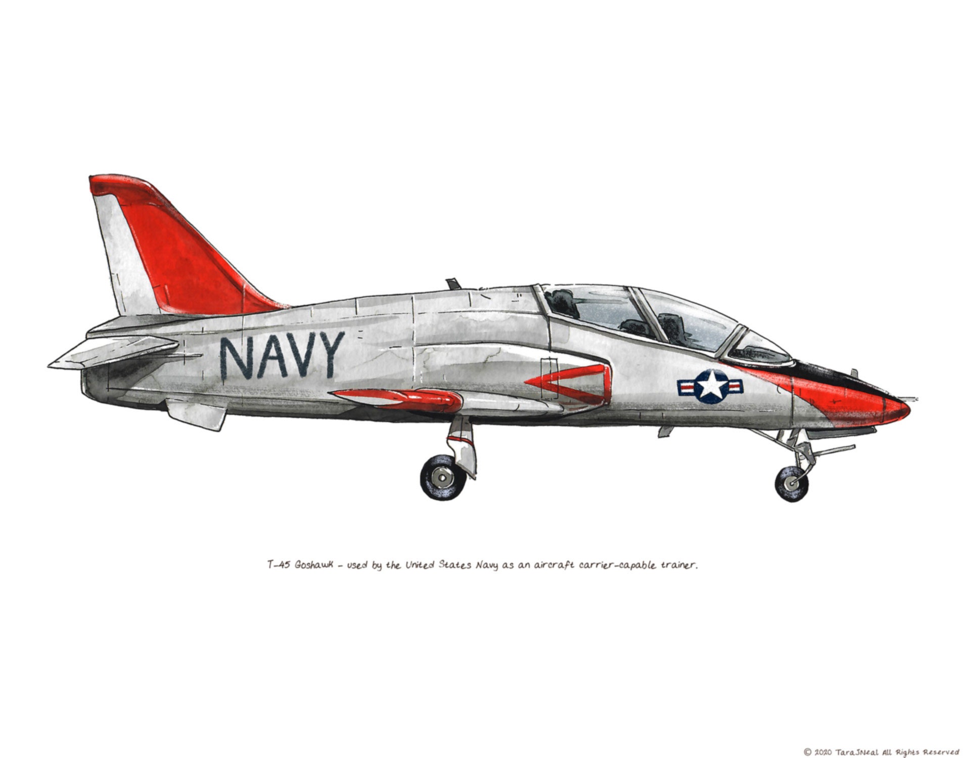 T-45 Goshawk Aircraft watercolor print, 8x10"