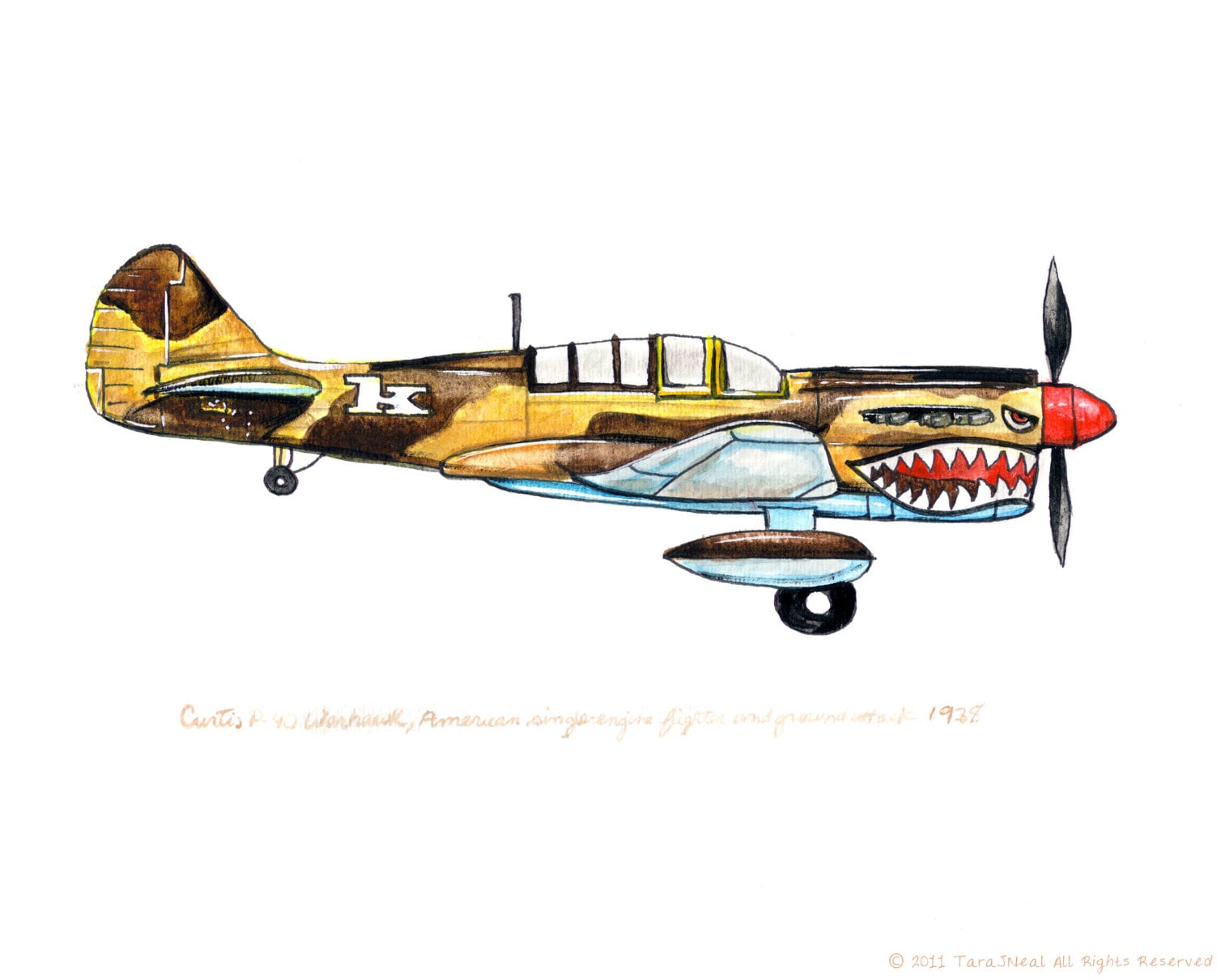 カーチス P-40「ウォーホーク」ヴィンテージ飛行機水彩画プリント、8
