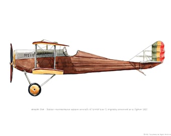 Pode incluir: Ilustração em aquarela de um biplano Ansaldo SVA, um avião de reconhecimento italiano da Primeira Guerra Mundial. O avião é principalmente marrom com detalhes prateados e amarelos. A cauda apresenta listras vermelhas, amarelas e verdes. O texto "Ansaldo 3VA" é visível.