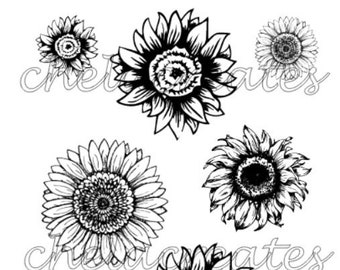 Sunflowers Print and cut Digital Download