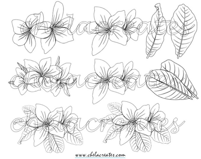 Spring Black and White Flowers