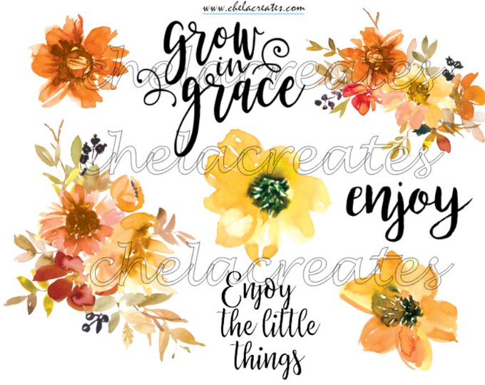 Enjoy Fall Flowers