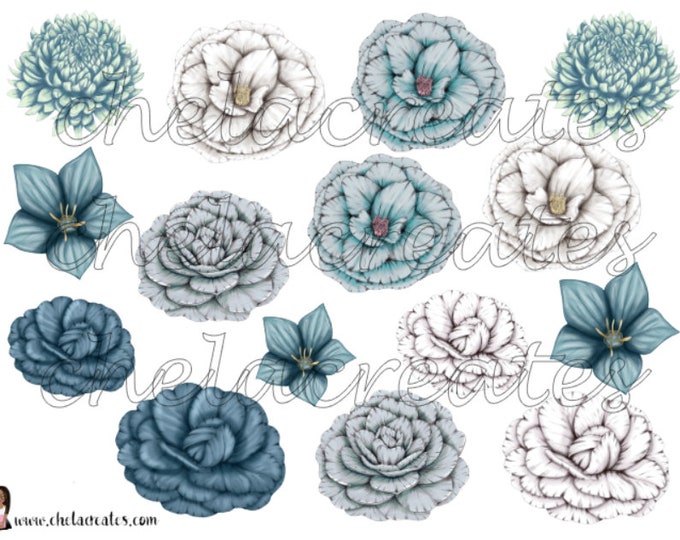 Blue Camelia Flowers
