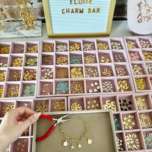 May include: A gold-toned chain bracelet with several small charms including a shell, a star, and a pearl, positioned next to red-handled pliers. The bracelet is displayed on a tray alongside various compartments filled with assorted metal charms.