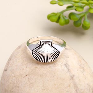 May include: A silver ring featuring a detailed seashell design. The ring has a polished finish and a band that tapers towards the back. The seashell design has a series of parallel lines radiating from a central point, creating a textured appearance.