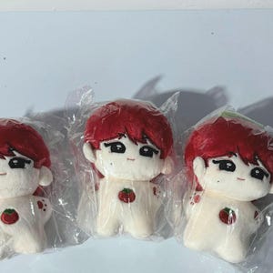 10 CM DOLL JUNGWON Enhypen (Tomato)