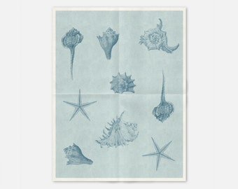 Vintage Sea Shell Art Print: Altered Risograph Newsprint Poster