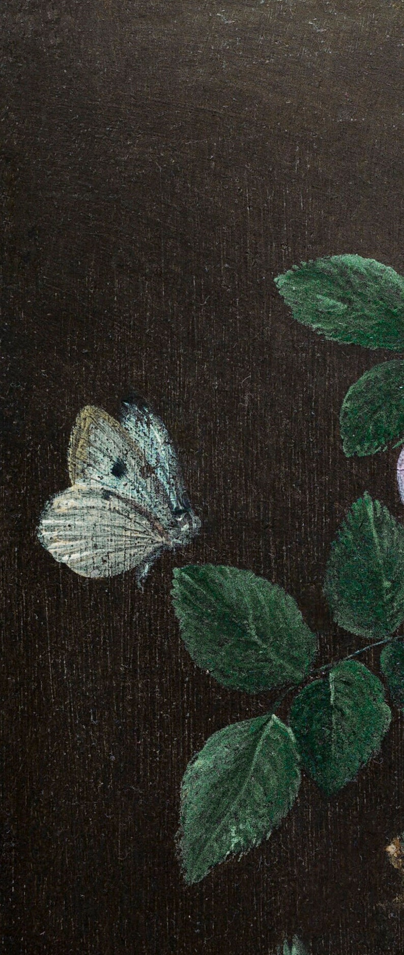 May include: A white butterfly with black spots on its wings is perched on a green leaf. The butterfly is painted on a dark brown background.