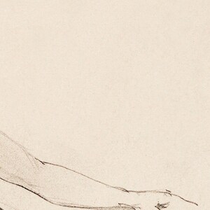 Pu&ograve; includere: Un disegno a matita di una mano che si protende, disegnato su carta beige chiaro.